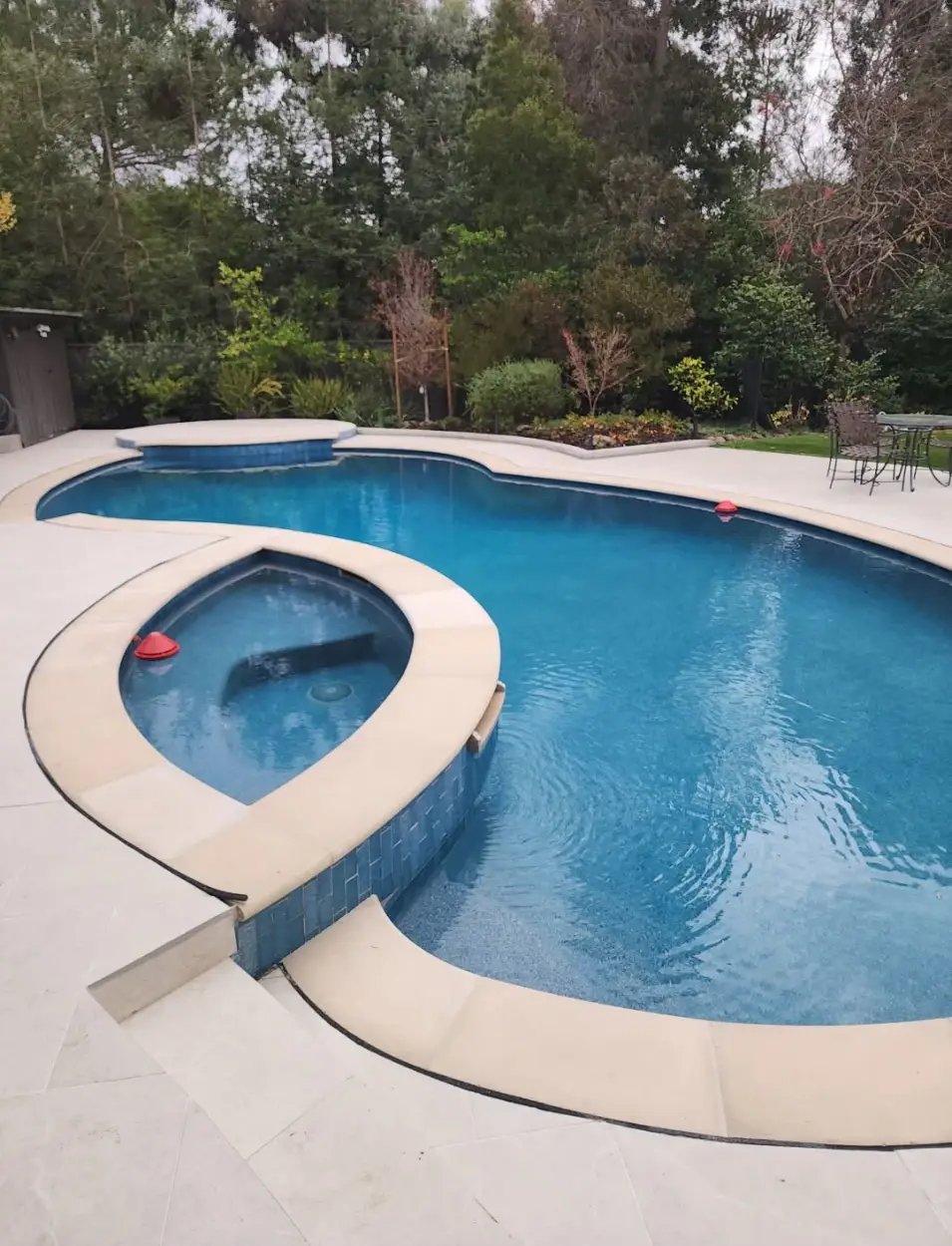 Custom kidney pool with stone deck — hardscape